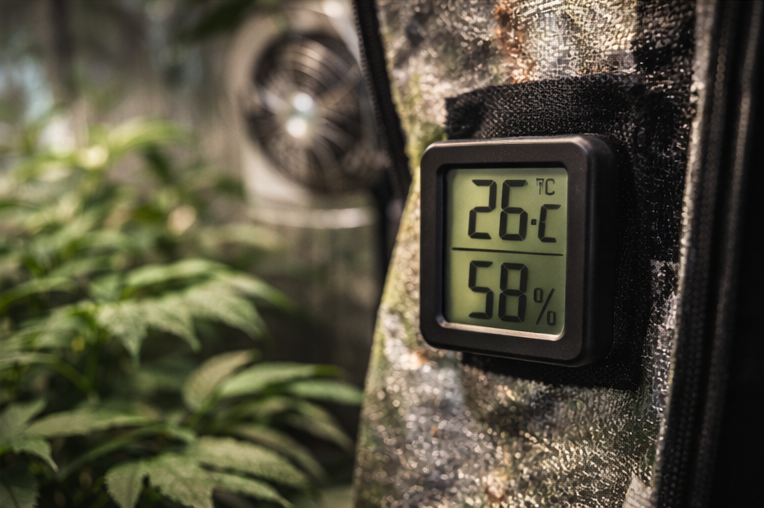 Temperatur und Klimakontrolle im Growzelt – Alles Wichtige
