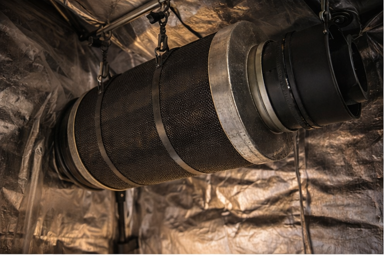 Aktivkohlefilter – Geruchskontrolle beim Indoor-Anbau