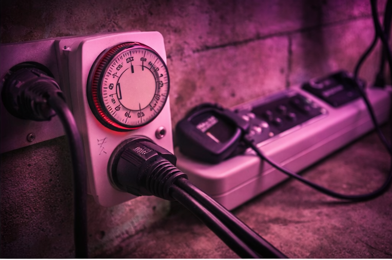 Licht-Zeitpläne – Wachstum vs. Blüte richtig steuern