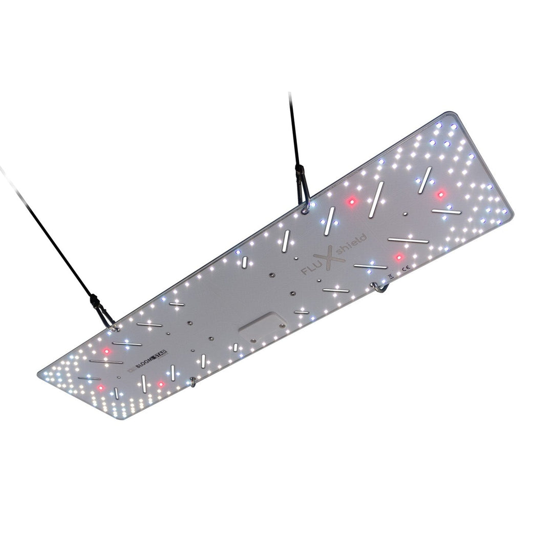 BloomStar LED