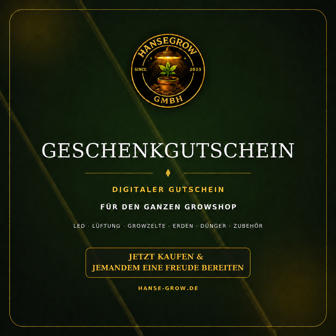 Gutscheine