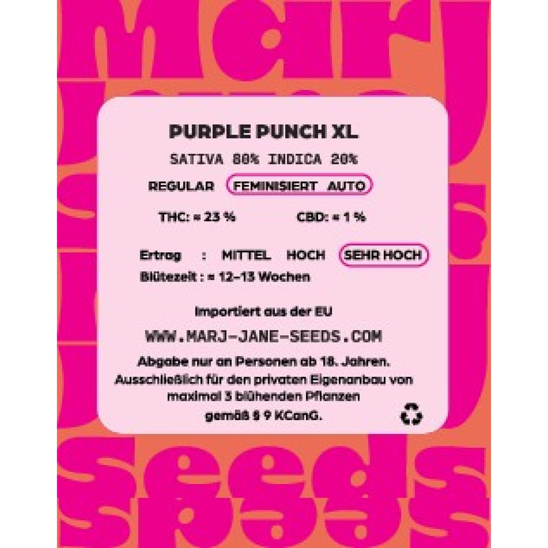 Marj Jane Purple Punch XL Auto Fem. 3St.
