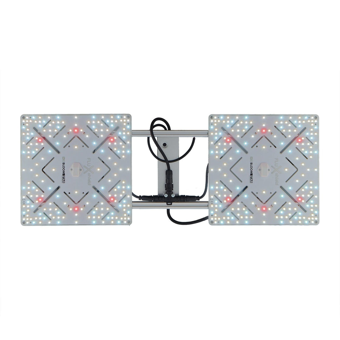 BloomStar Wingman 660