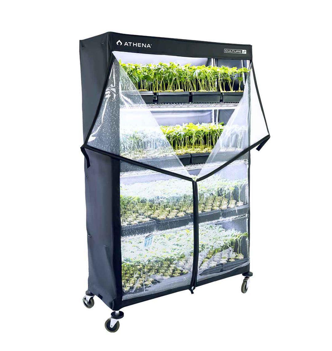 Athena VPDome Set (Hülle u. Regal)