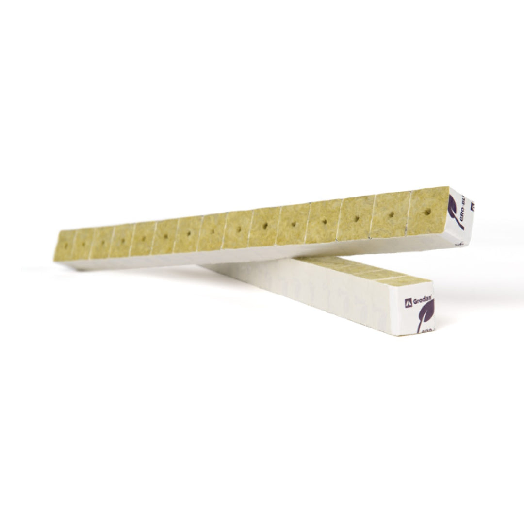 Grodan Improved (CSC) 4 x 4 cm mit Ummantelung