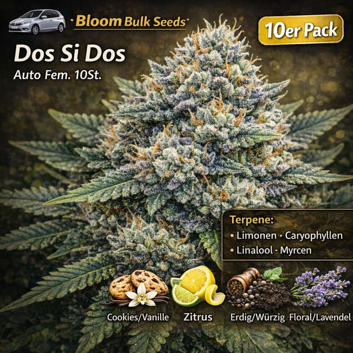 Bloom Bulk Seeds Dos Si Dos Auto Fem 10St.