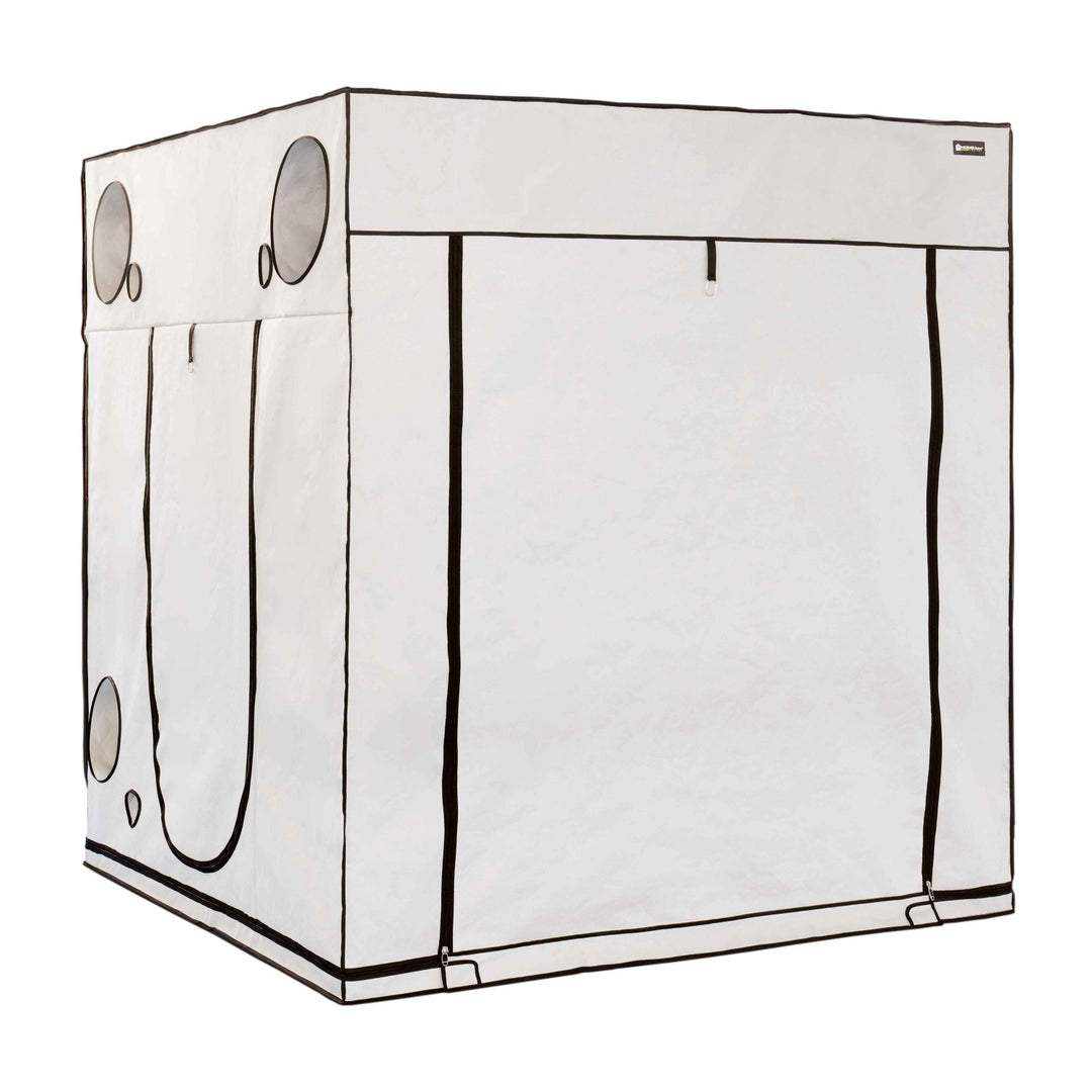Homebox Ambient Q200+