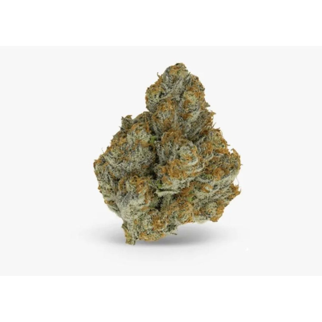 Growers Choice Blue Zushi Fem 3St.