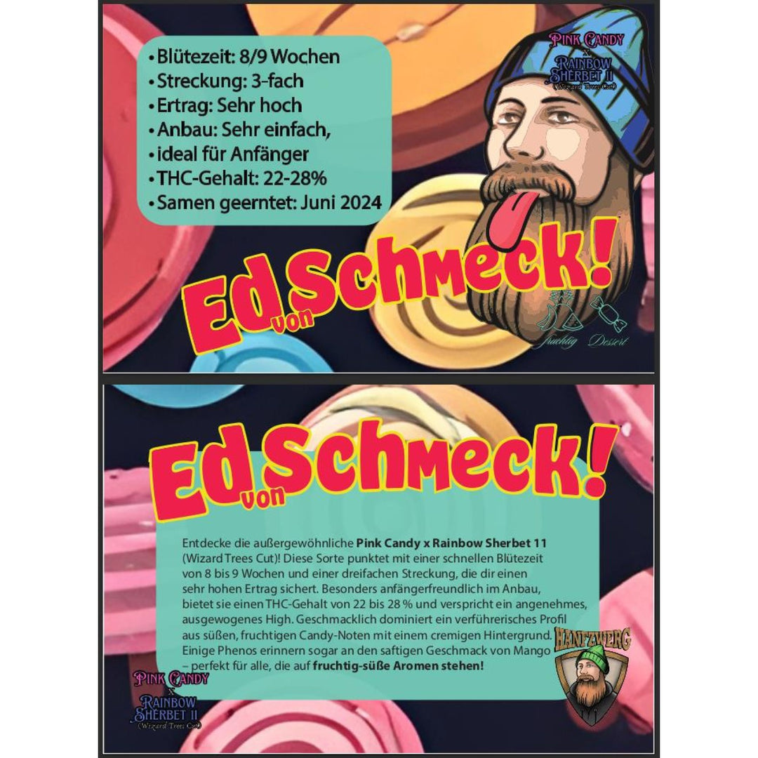 Hanfzwerg Ed von Schmeck Fem. 3St.