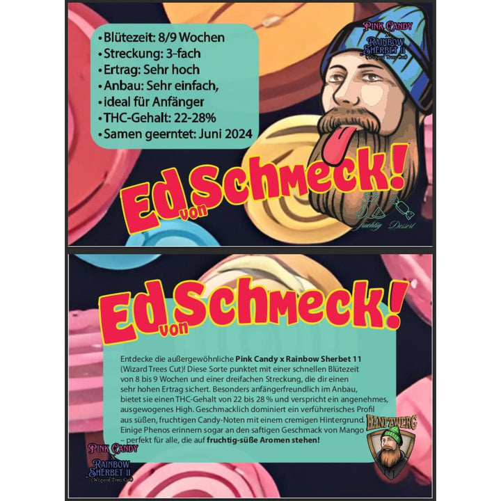 Hanfzwerg Ed von Schmeck Fem. 3St.