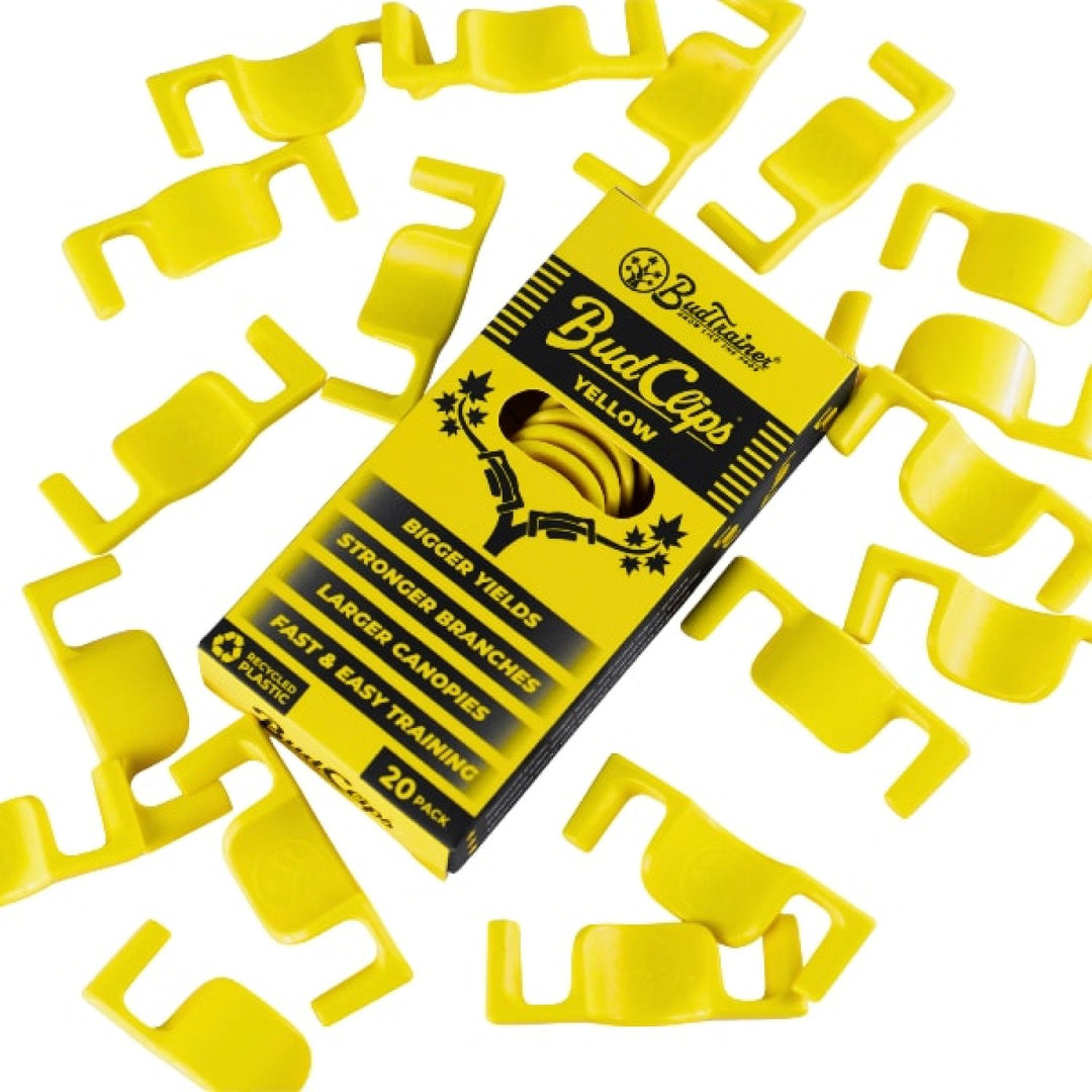 BudTrainer BudClips Gelb 20 St.
