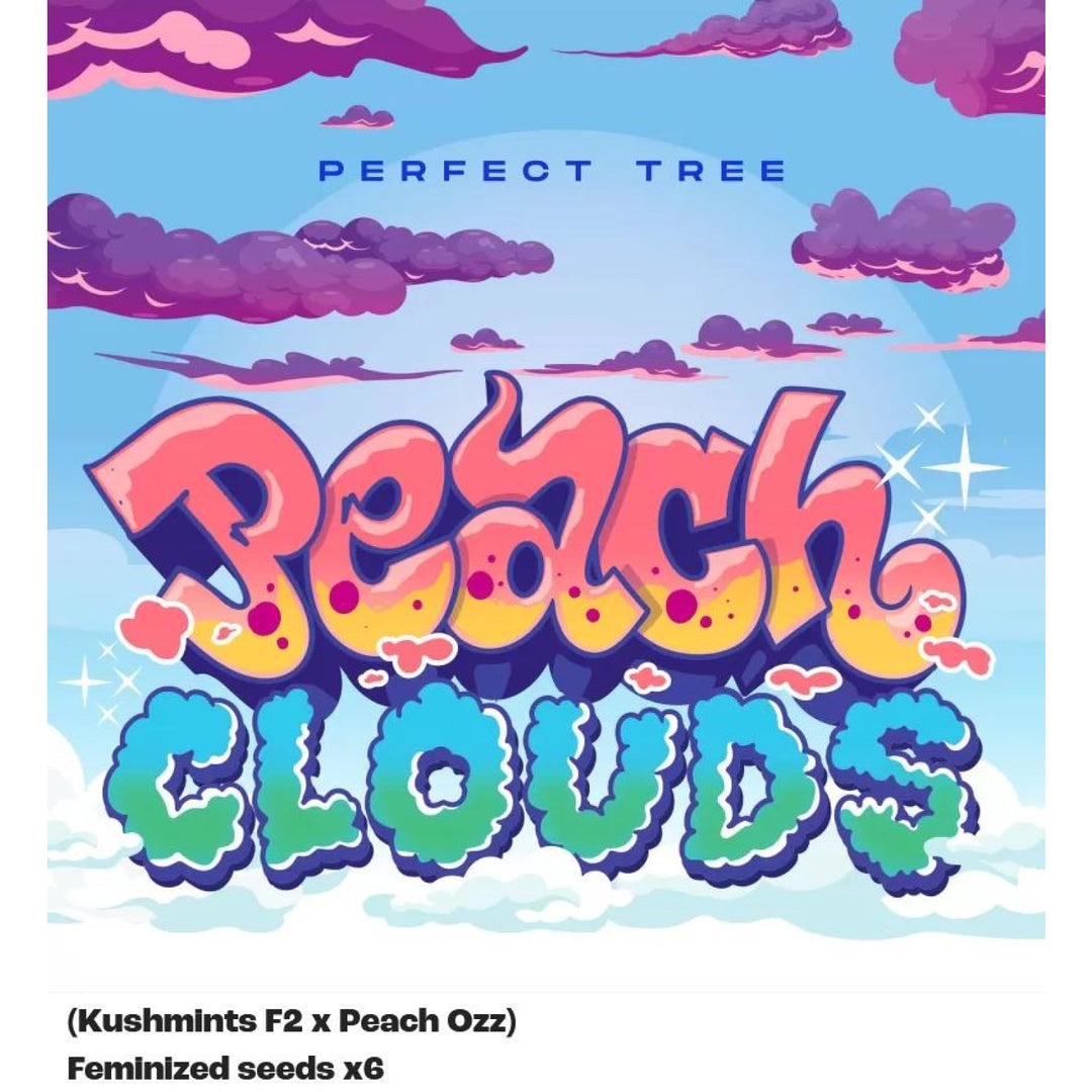 Perfect Tree Peach Clouds Fem 6St.
