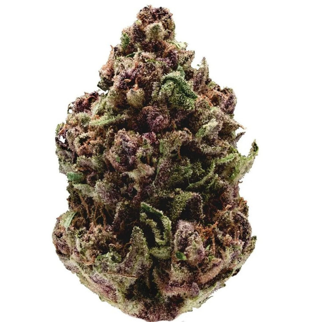 Growers Choice Pink Magic Fast Version Fem 3St.