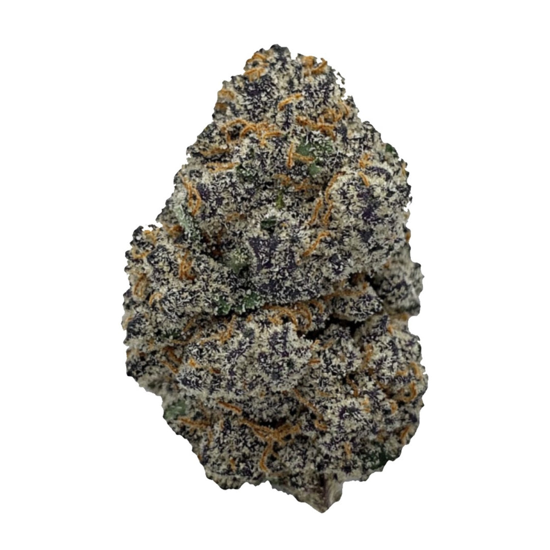 In House Genetics Tacky Glue Fem 3St.