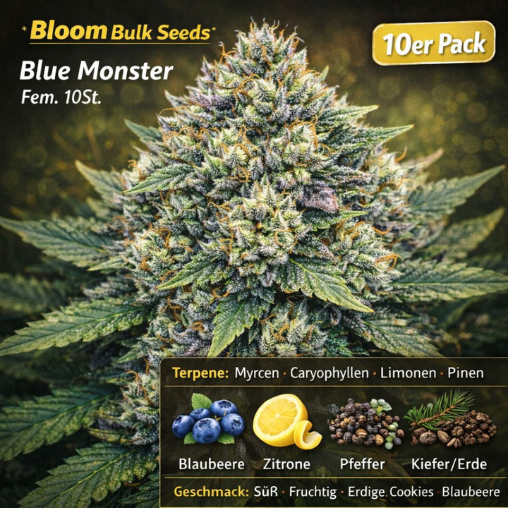 Bloom Bulk Seeds Blue Monster Fem 10St.