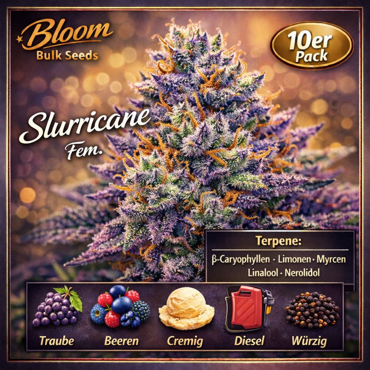 Bloom Bulk Seeds Slurricane Fem 10St.