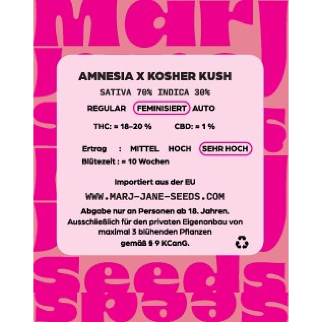 Marj Jane Amnesia X Kosher Kush Fem. 3St.