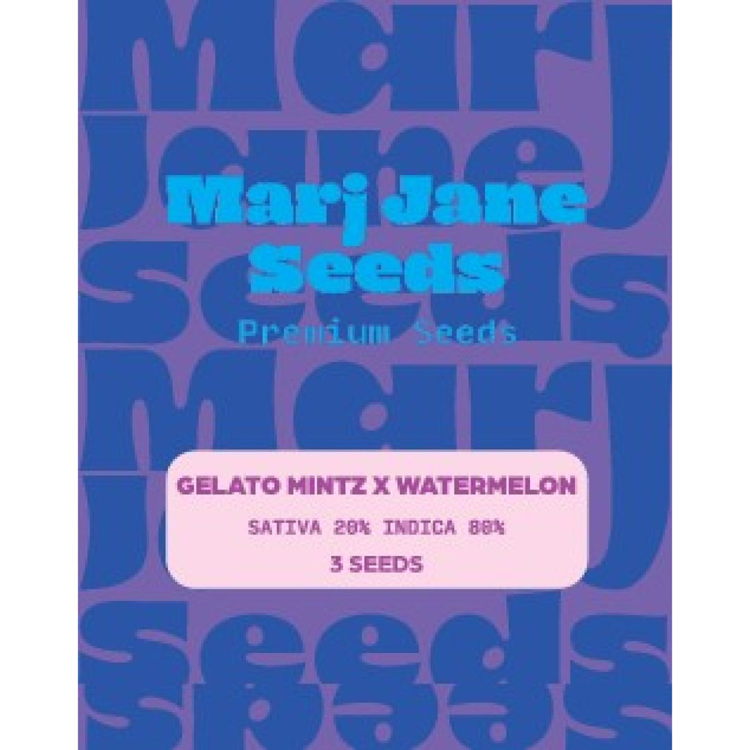 Marj Jane Gelato Mintz X Watermelon Fem. 3St.