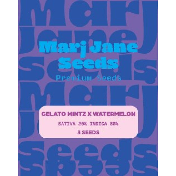 Marj Jane Gelato Mintz X Watermelon Fem. 3St.