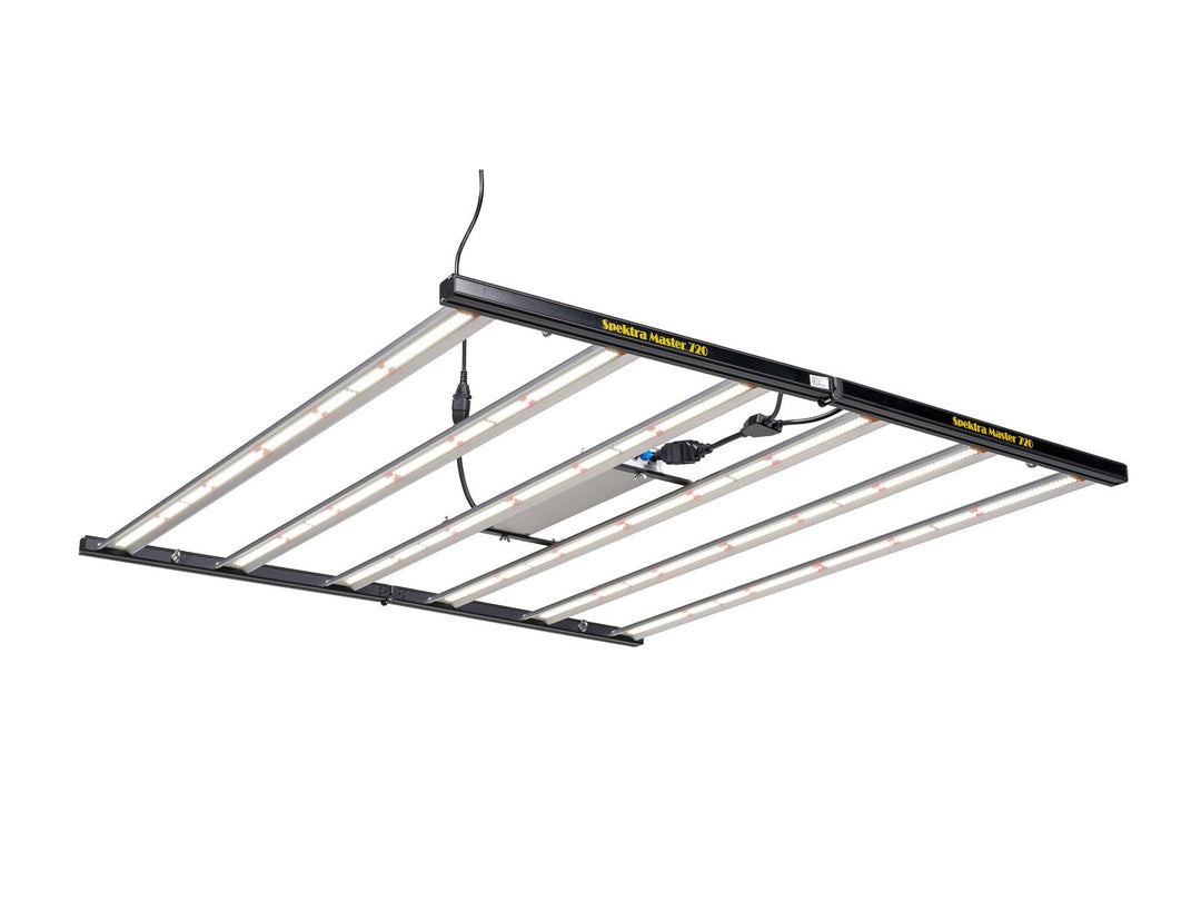 Spektrum Master 720W 110cm
