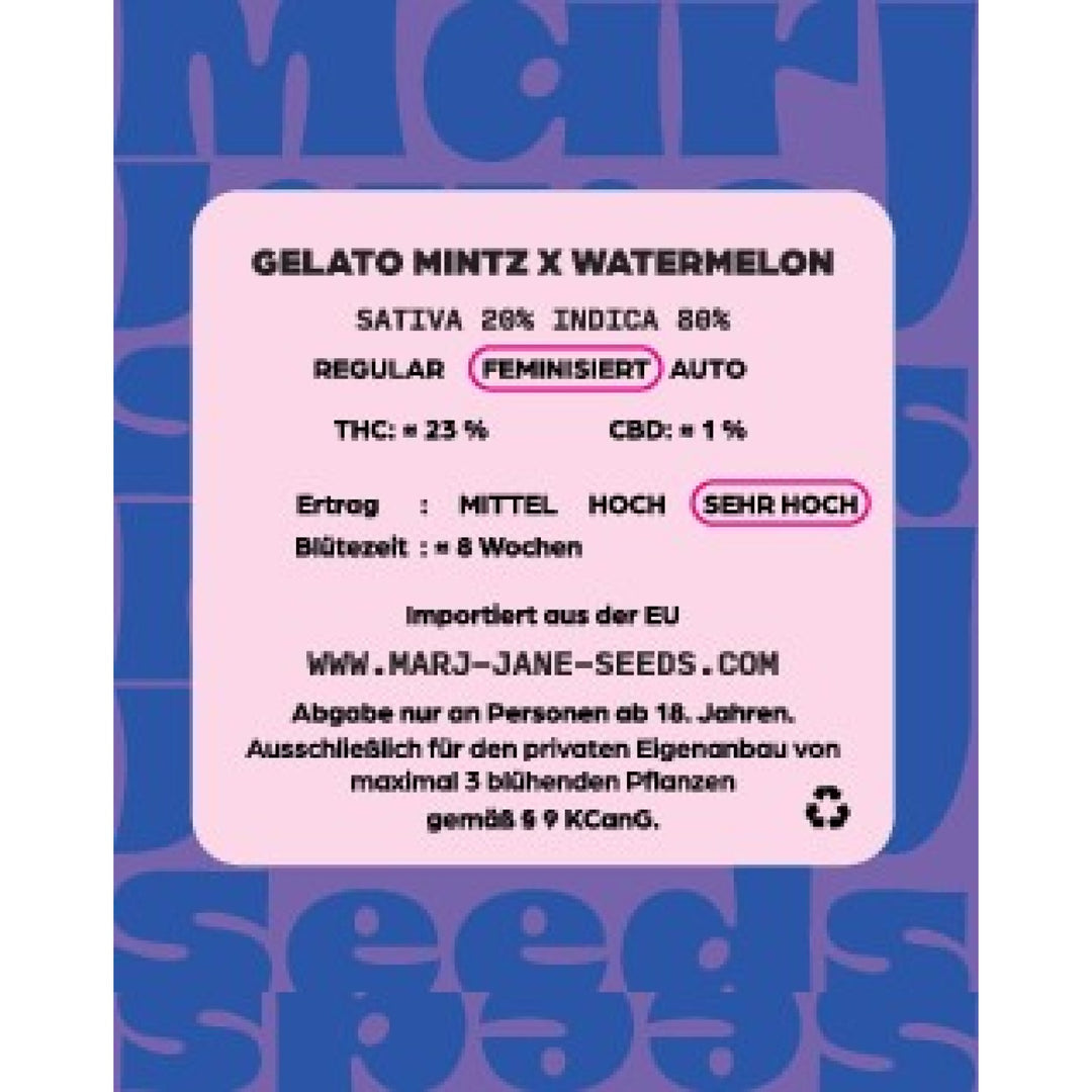 Marj Jane Gelato Mintz X Watermelon Fem. 3St.
