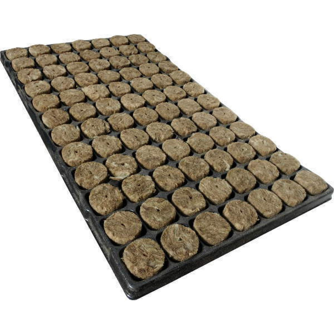Speedgrow Green 84er Tray Ø38mm / 40mm
