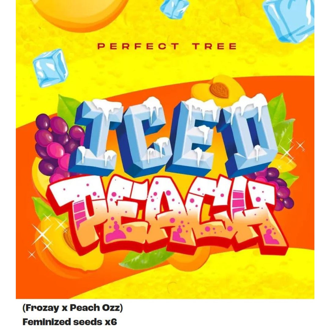Perfect Tree Iced Peach x6 Fem 6St.