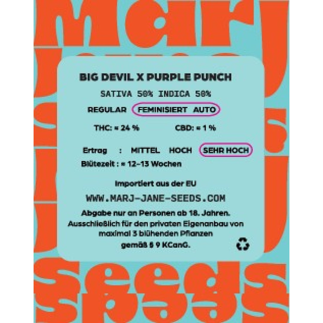 Marj Jane Big Devil X Purple Punch Auto Fem. 3St.