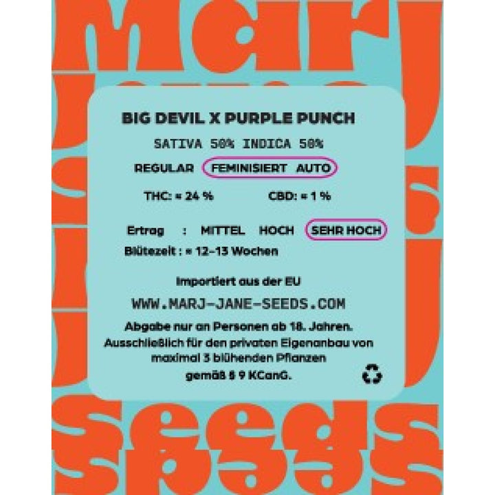 Marj Jane Big Devil X Purple Punch Auto Fem. 3St.