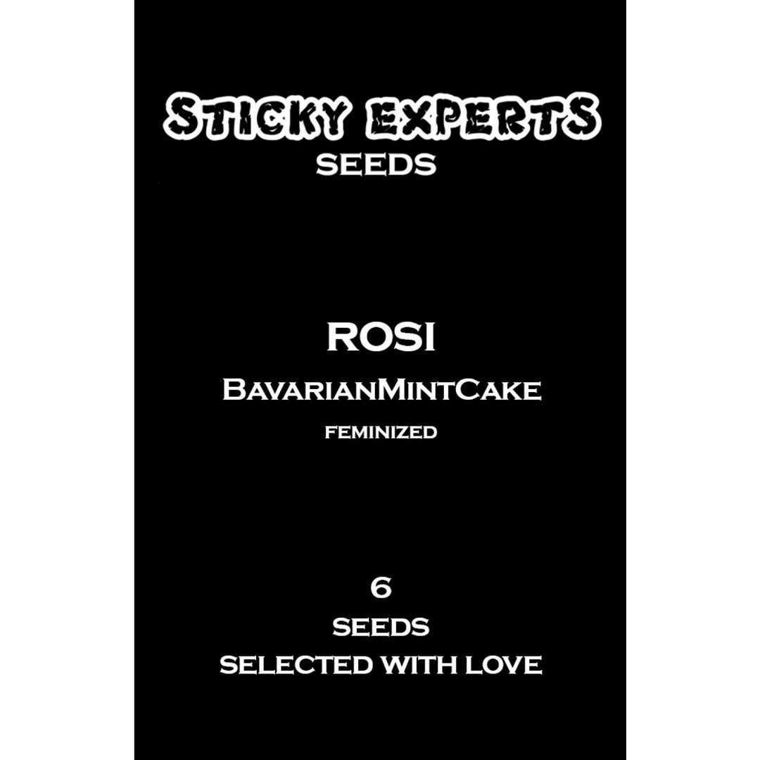 Sticky Experts Rosi BavarianMintCake Fem 6St.