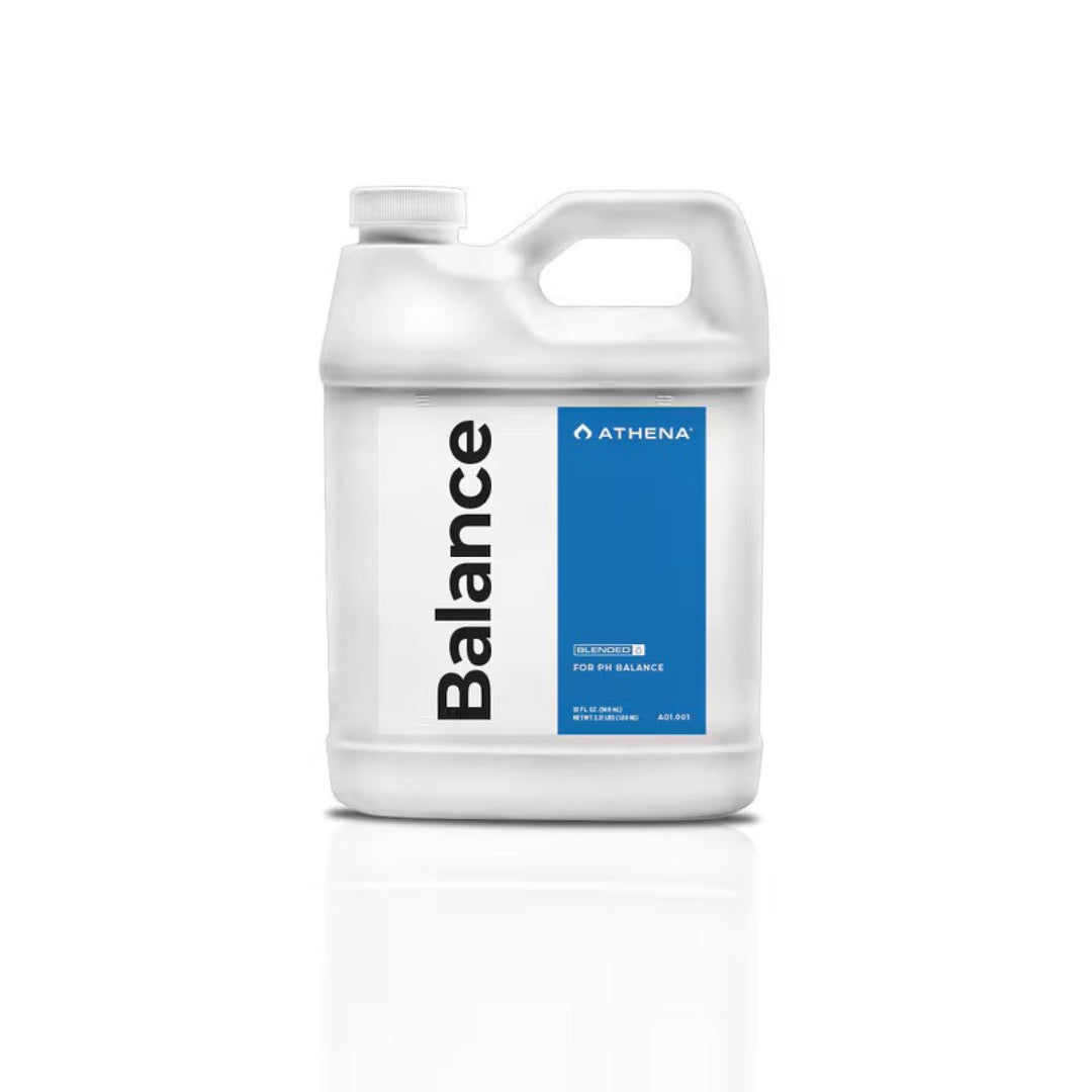 Athena Pro Balance 4,53 kg
