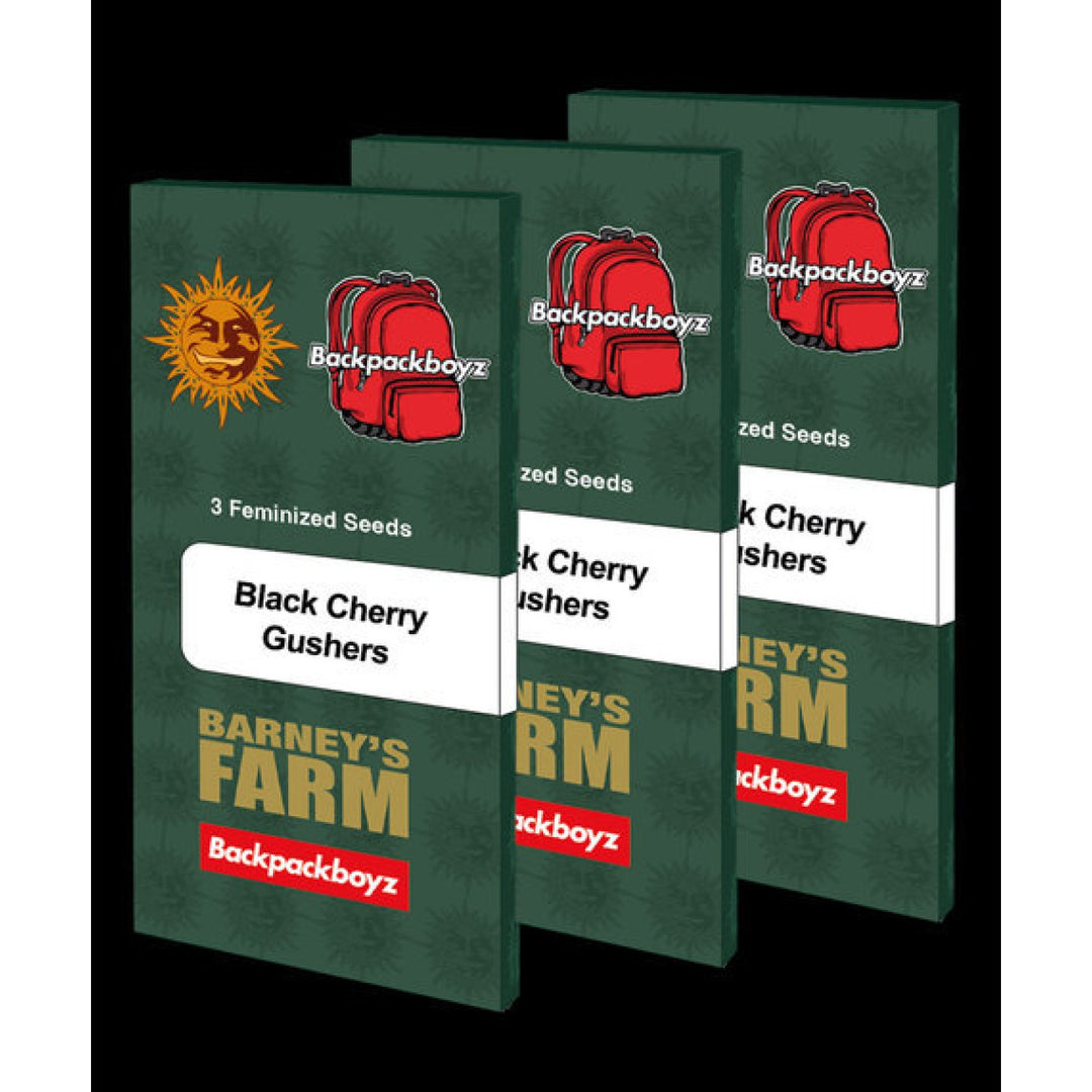 Barneys Farm Black Cherry Gushers Fem 3St.