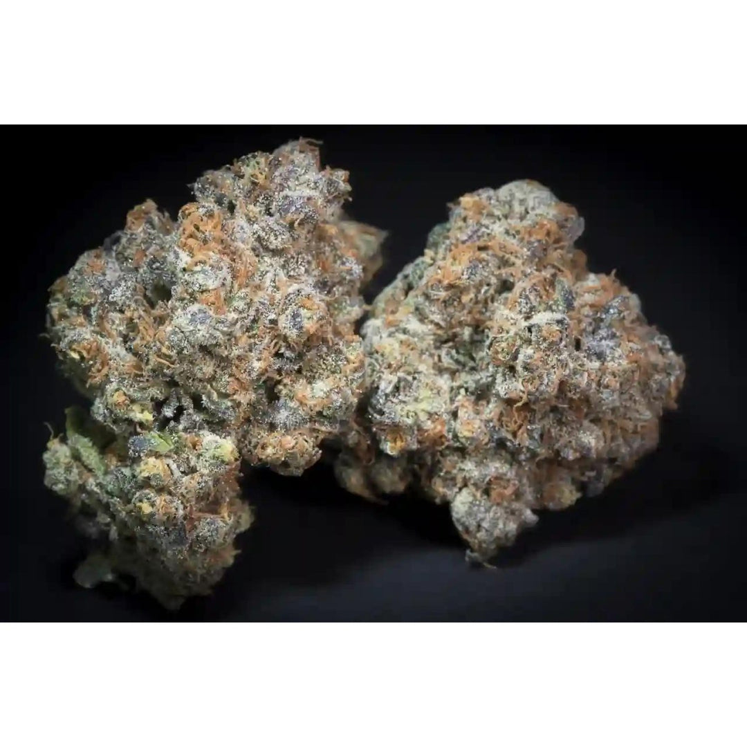 Paradise Seeds Caramba Fem 3St.