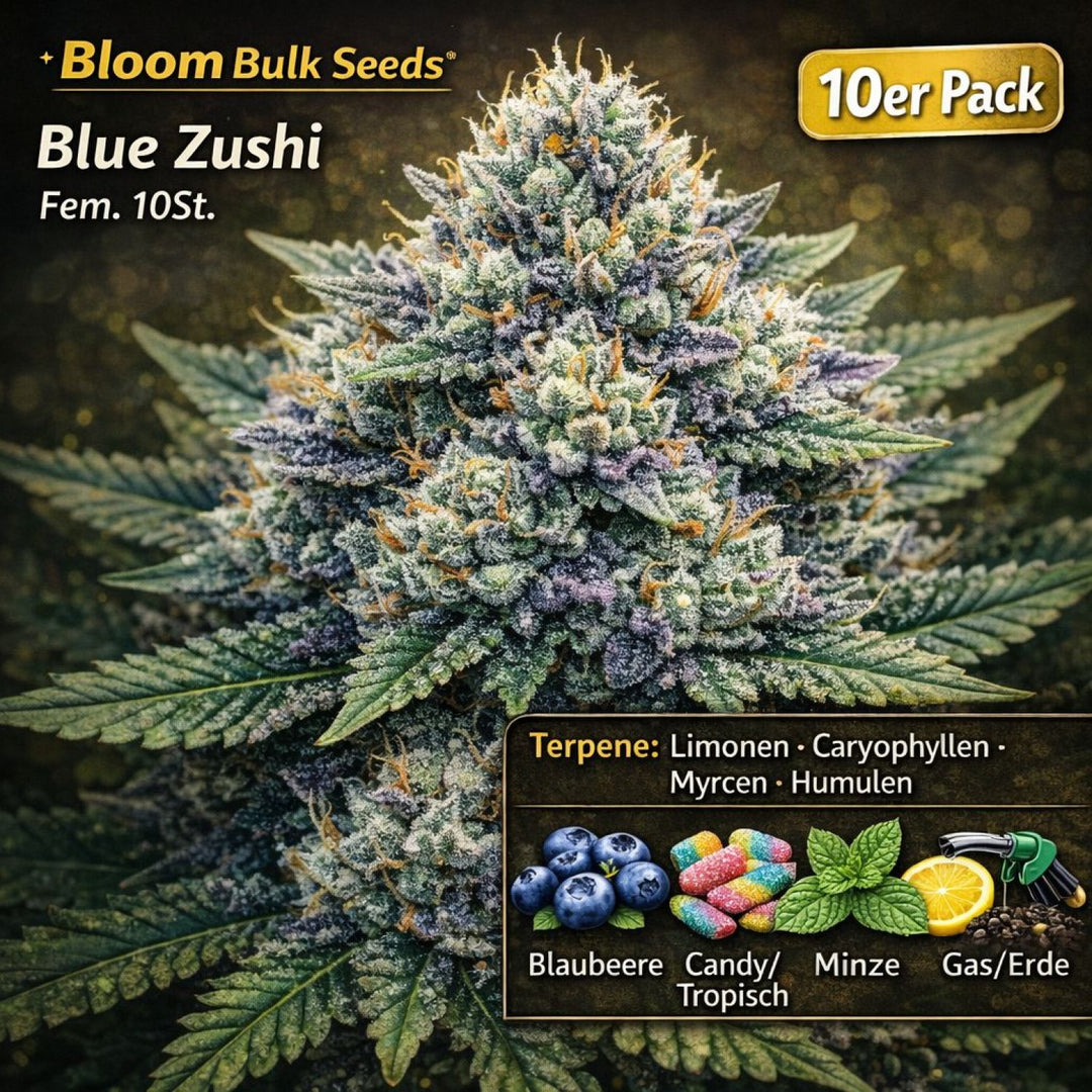 Bloom Bulk Seeds Blue Zushi Fem 10St.