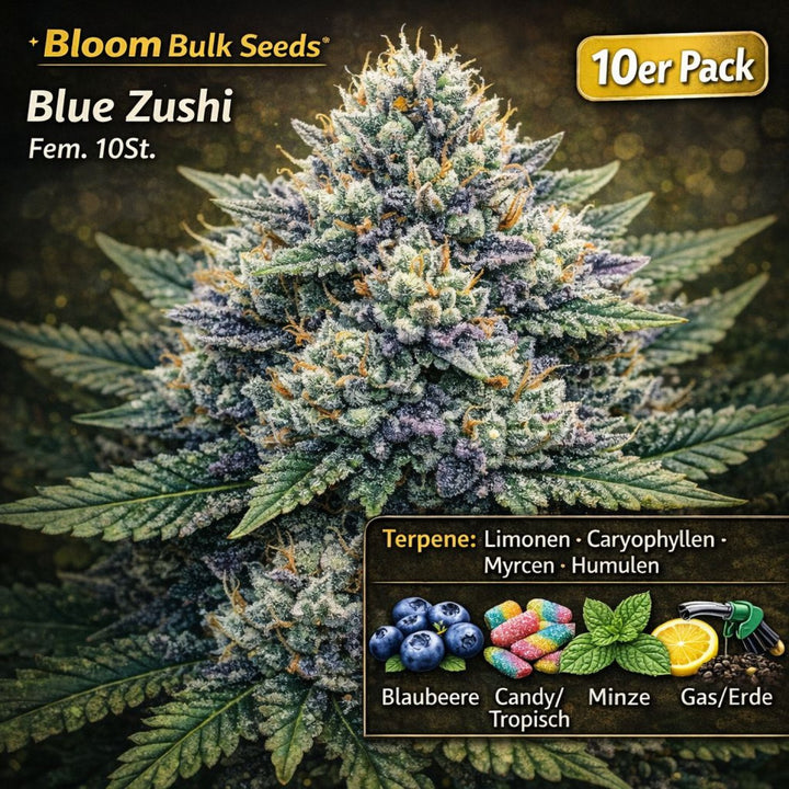 Bloom Bulk Seeds Blue Zushi Fem 10St.