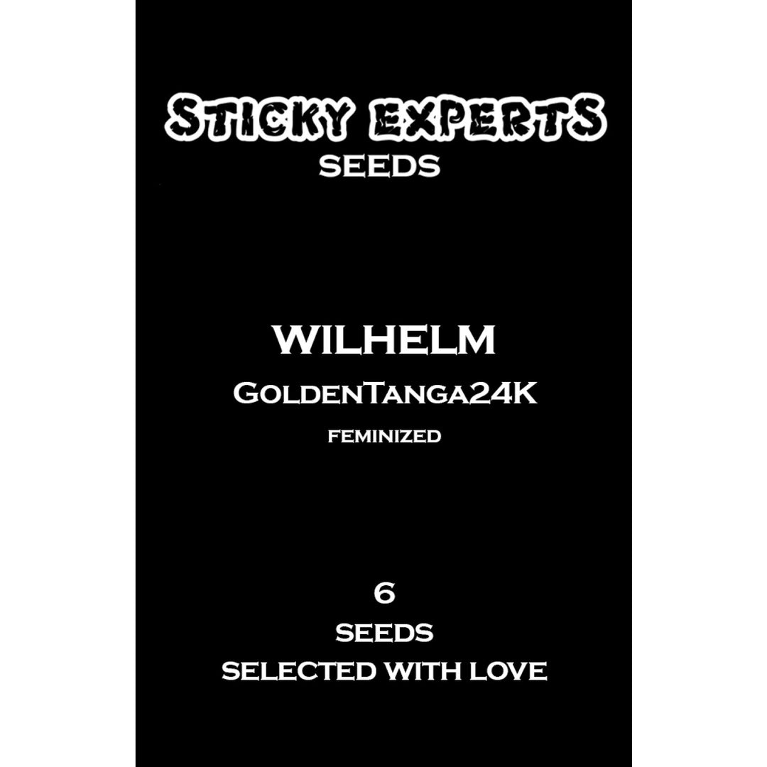 Sticky Experts Wilhelm GoldenTanga24K Fem 6St.