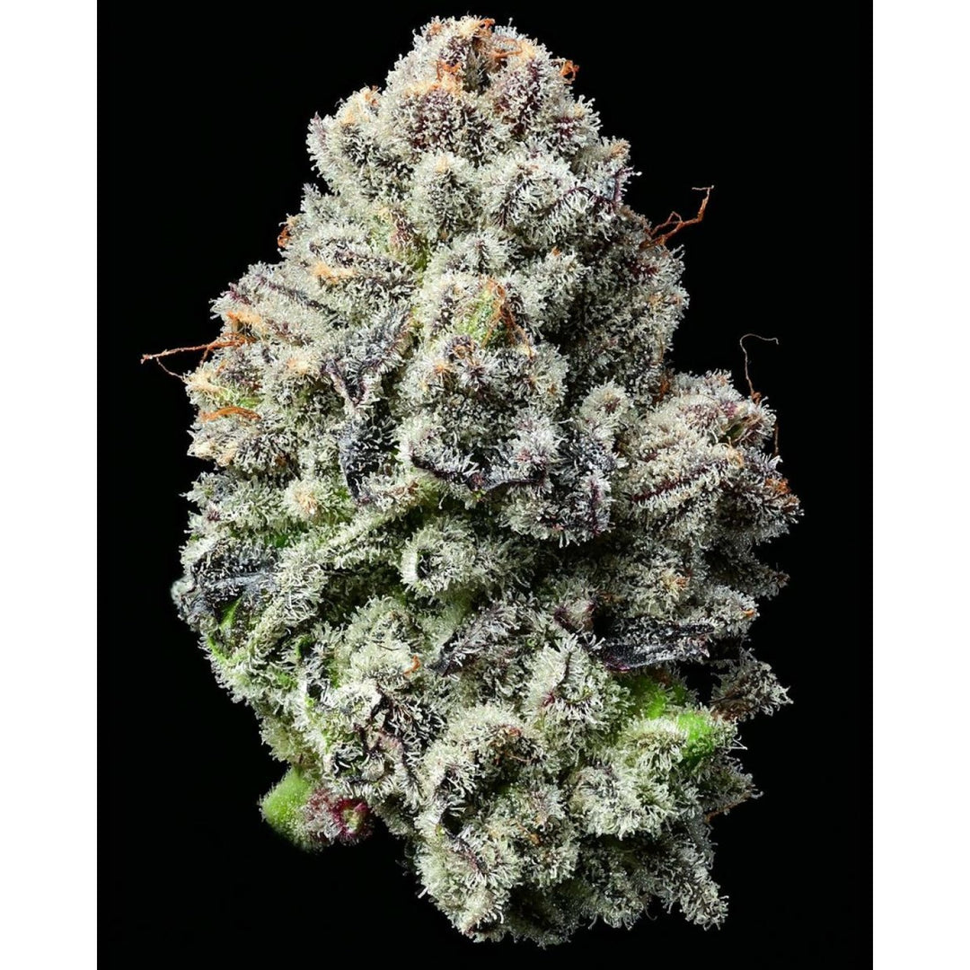 Barneys Farm Lemon Cherry Gelato Fem 3St.