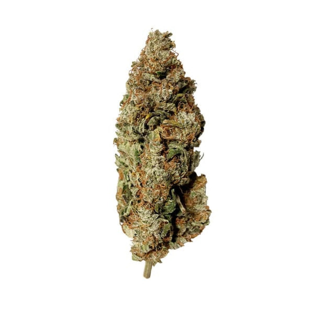 Royal Queen Seeds Royal Runtz Fem. 3St.
