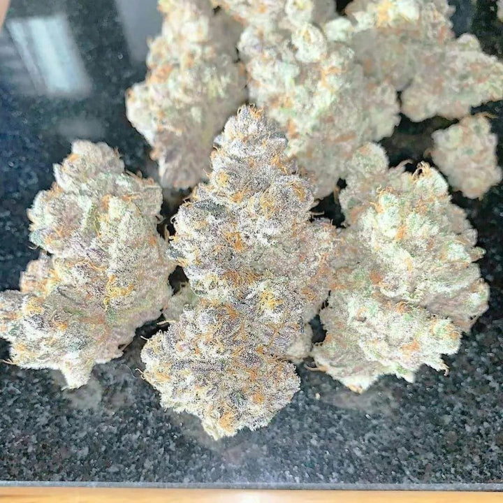 Growers Choice White Truffle Limited Edition Fem 3St.