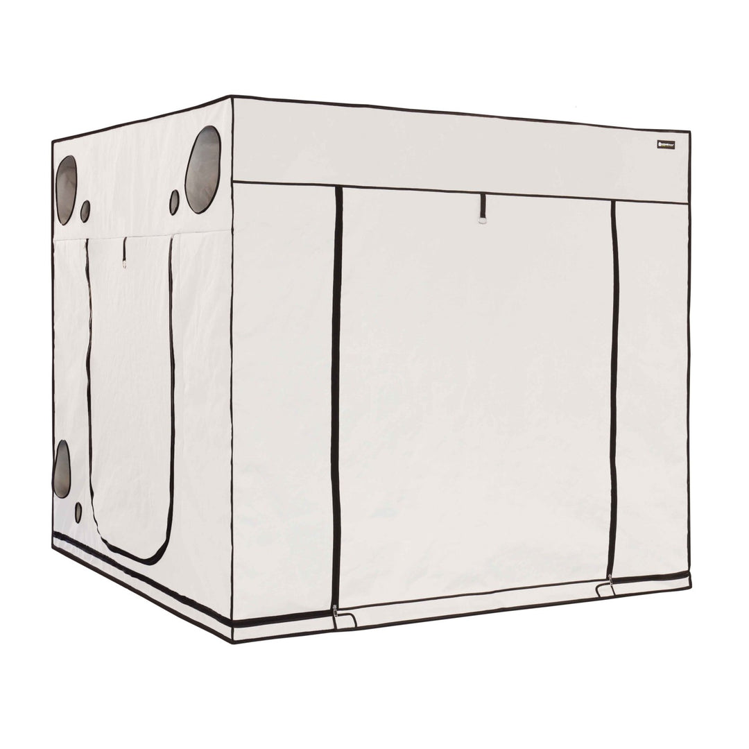 Homebox Ambient Q240+