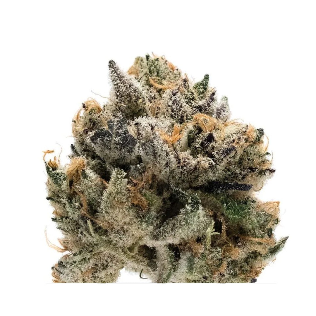 Growers Choice Tropical Cookies XXL Auto Fem 3St.