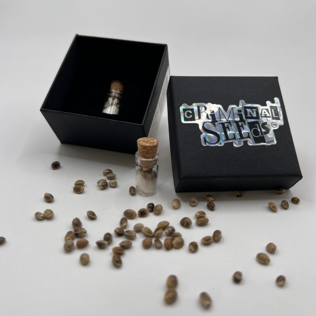 Criminal Seeds Strong Berry Cali Limited Fem 3St.