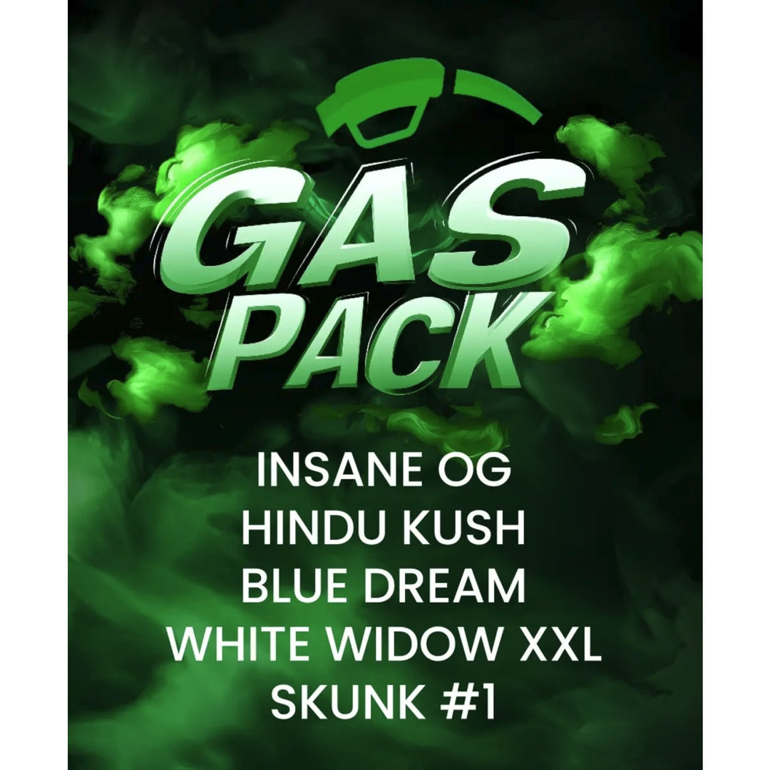 Barneys Farm GAS PACK Fem 5St.