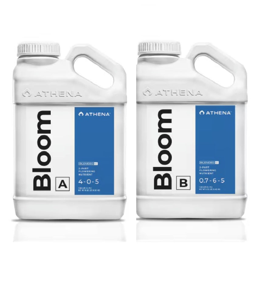 Athena Bloom A+B 2x 18,92 Liter