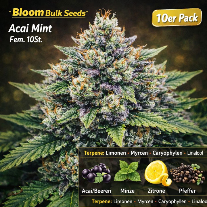 Bloom Bulk Seeds Acai Mint Fem 10St.