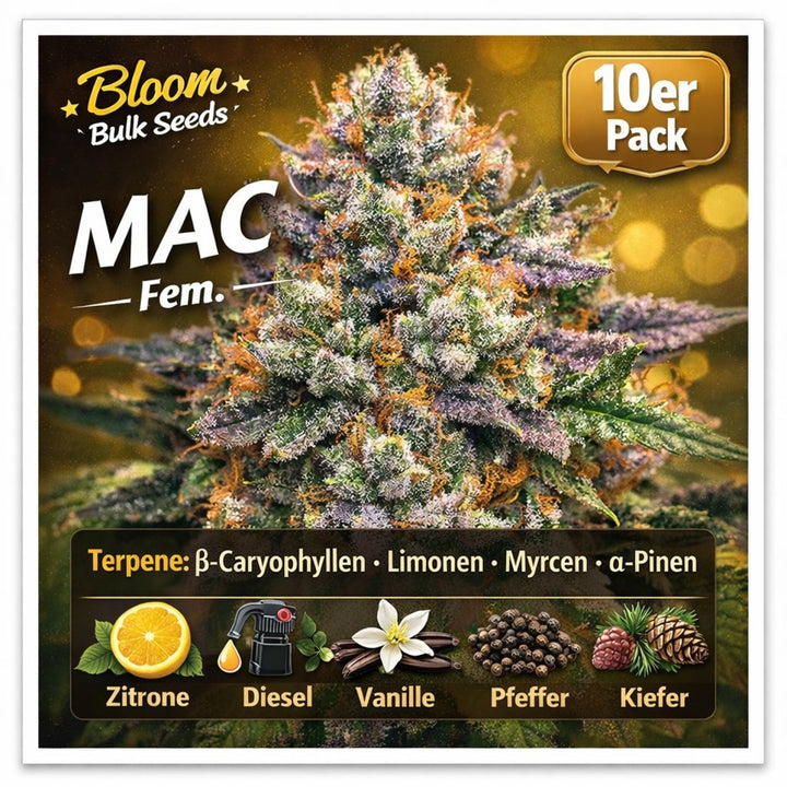 Bloom Bulk Seeds MAC Fem 10St.