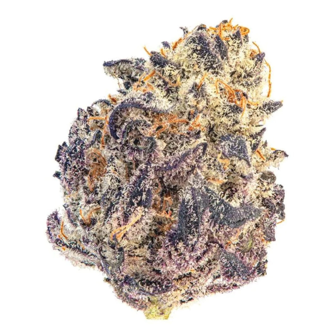 Growers Choice Cherry MAC Muffin Fem 3St.