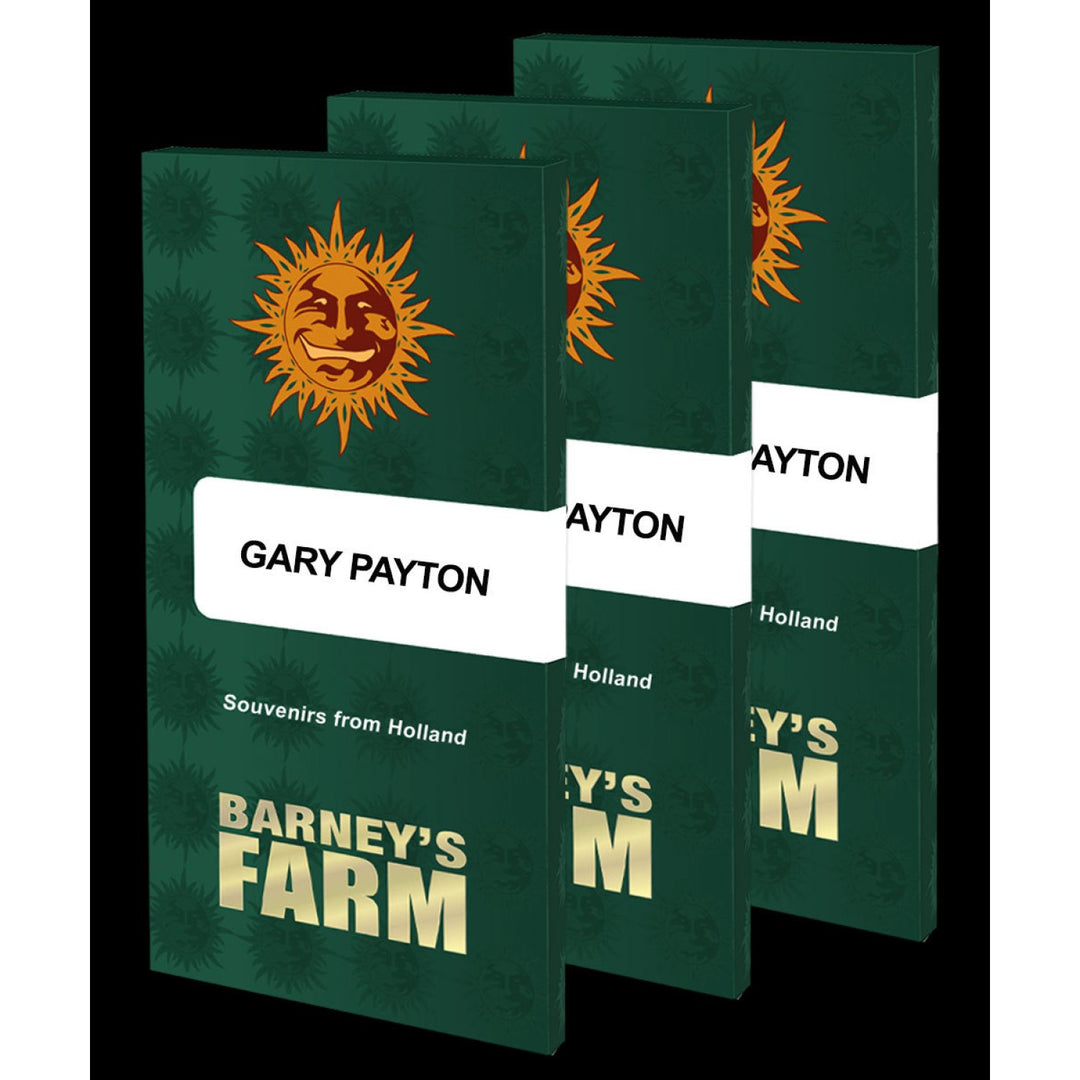 Barneys Farm Gary Payton Fem. 3St.