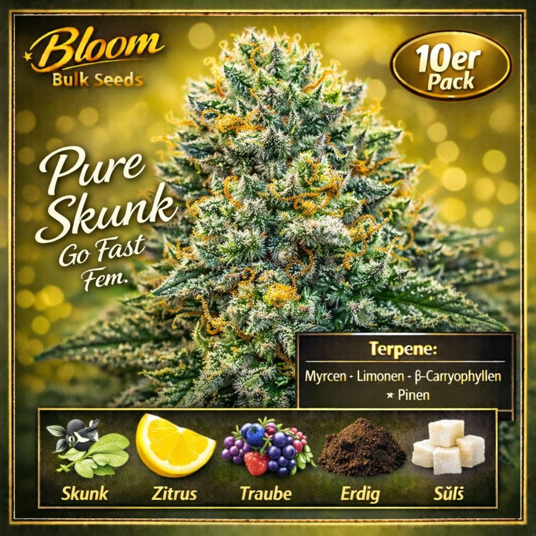 Bloom Bulk Seeds Pure Skunk Go Fast Fem 10St.