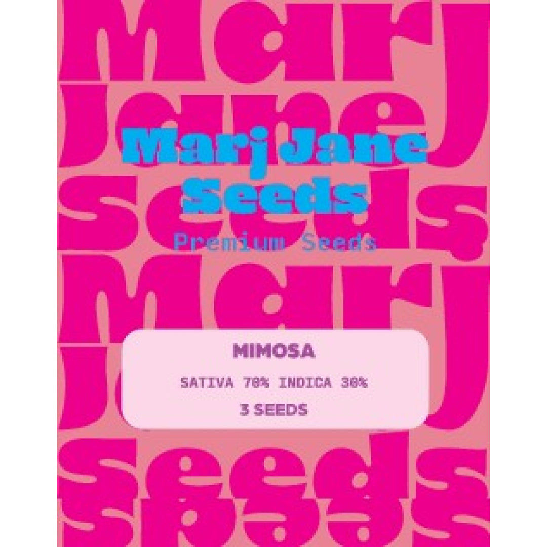 Marj Jane Mimosa Fem. 3St.